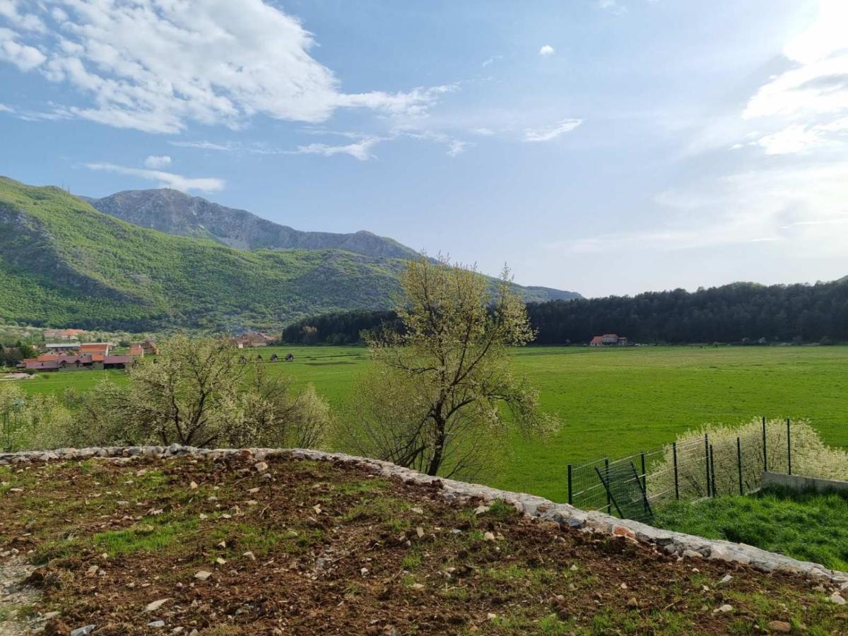 Apartamento Porto Njegusi A2 Cetinje Exterior foto